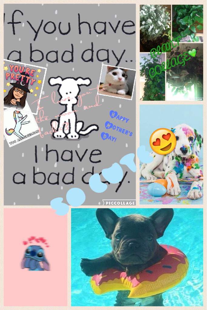 Collage by Galaxy_doglover36