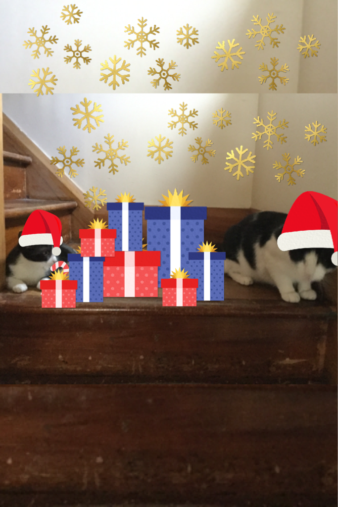 My cats Christmasafiyed!!!