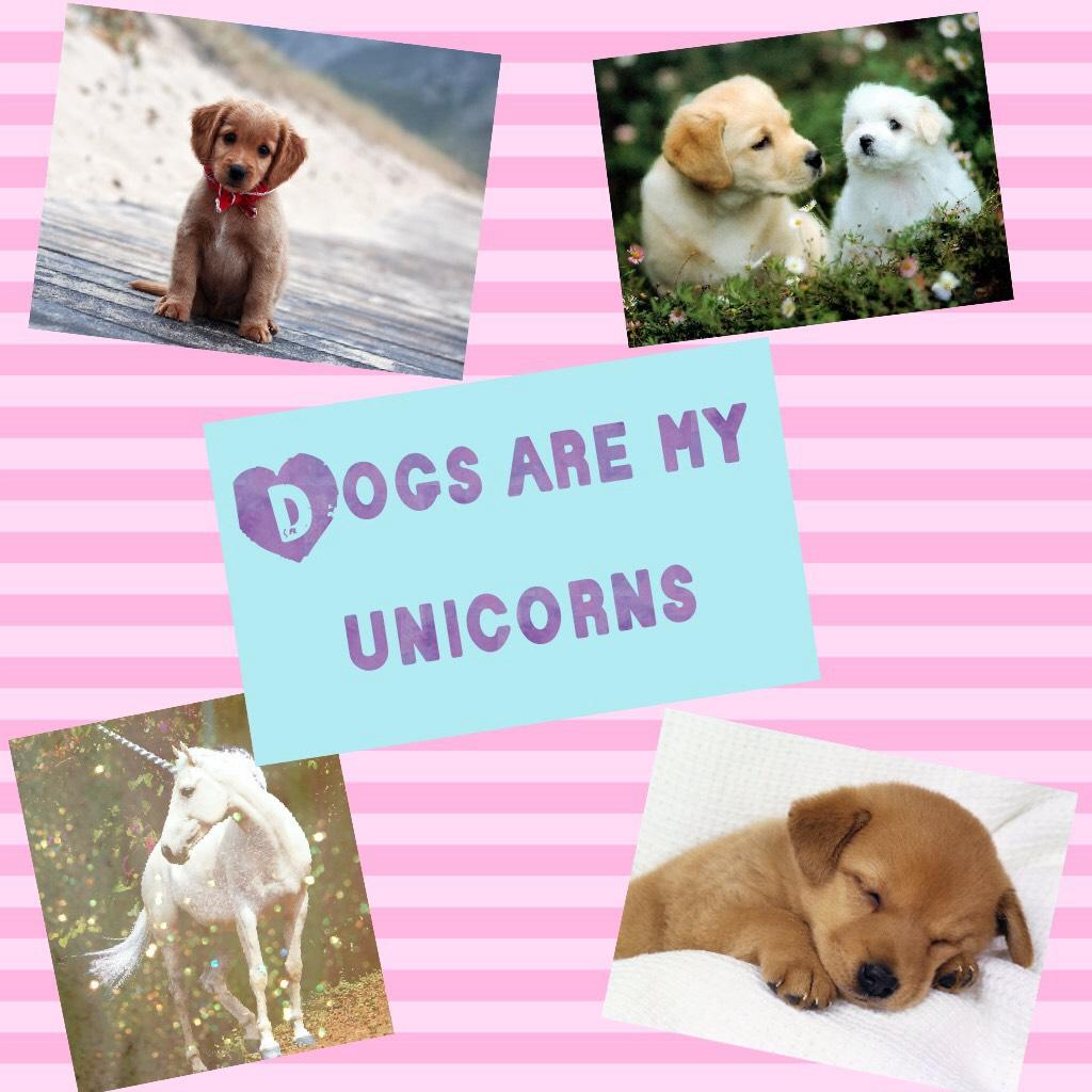 Dogs are my unicorns also sorry that I haven't posted in a while I just fractured my ankle so I have been really busy ❤️😜😎😉