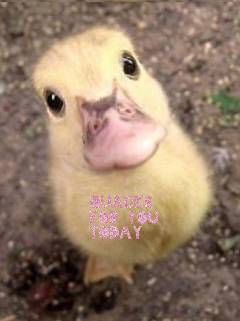 Quacks for you today 
