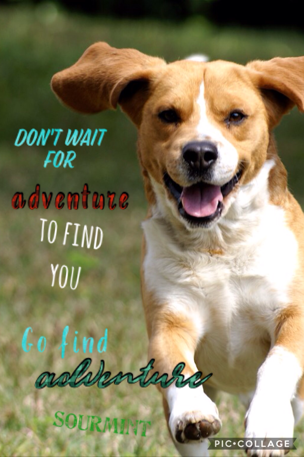 Don't wait for adventure to find you, go find adventure!