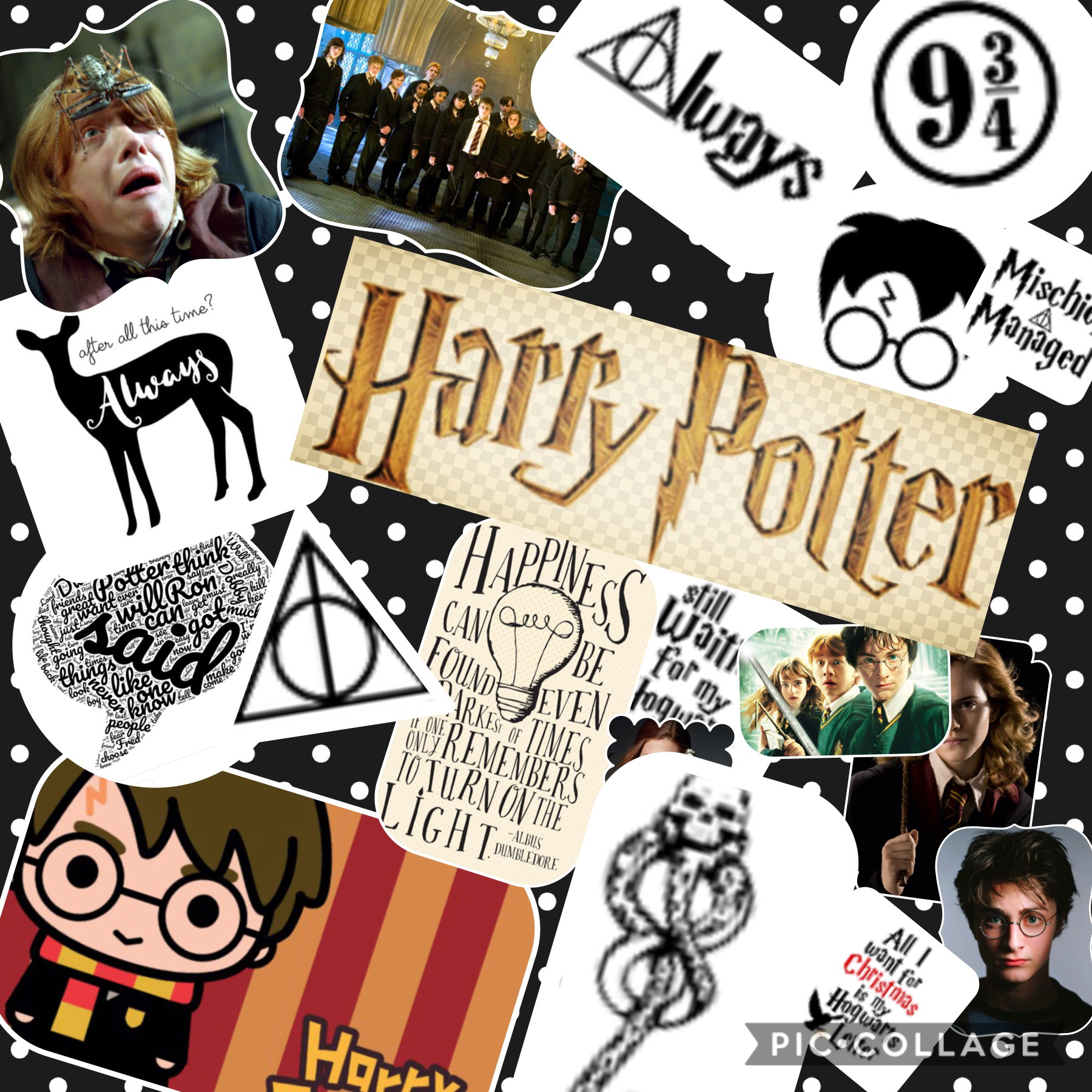 If you’re a POTTERHEAD, please like and support a fellow potterhead.