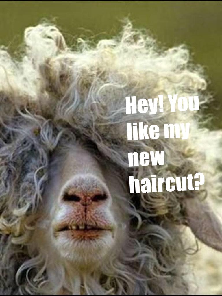 Hey! You like my new haircut?