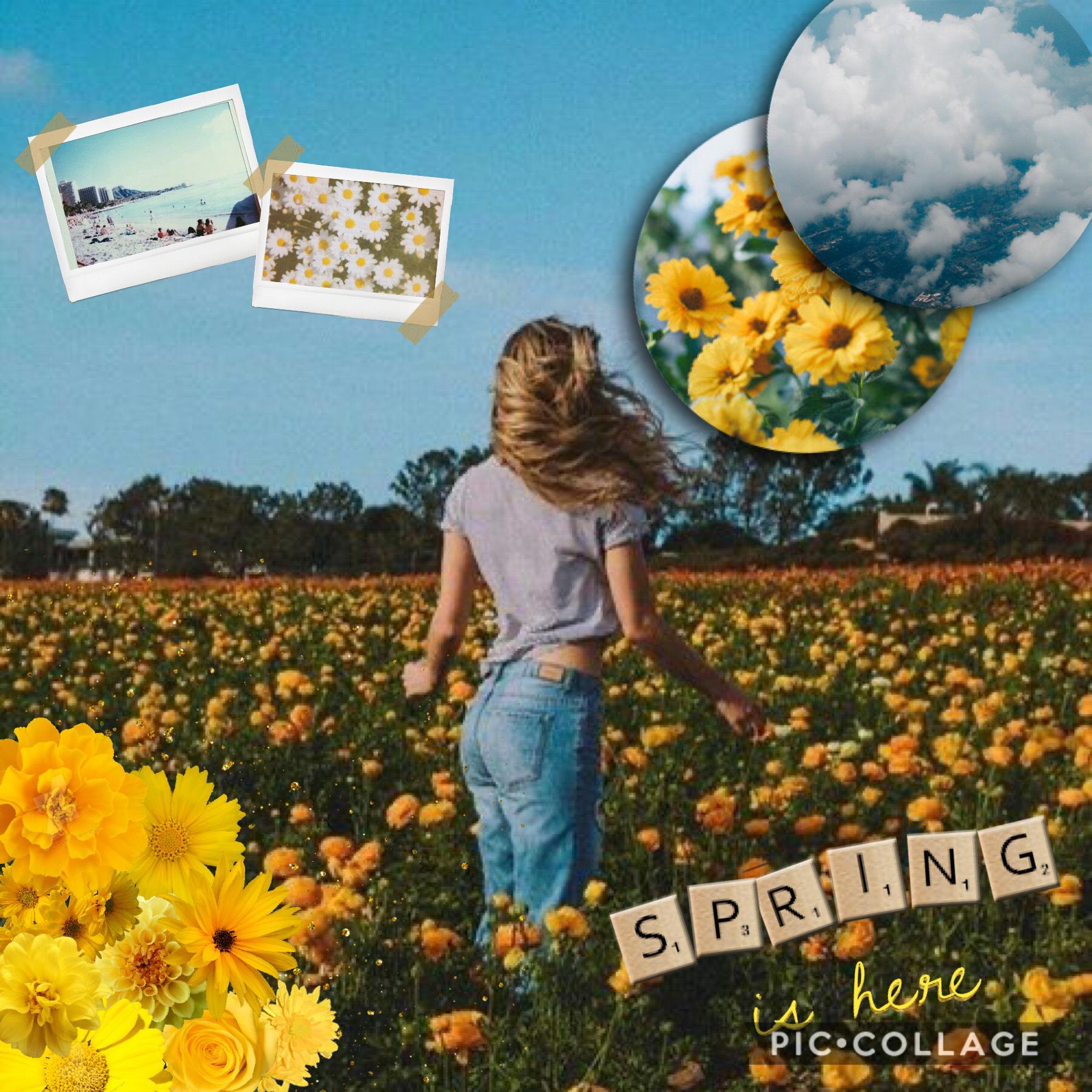 Spring is here!🌻🌻🌻