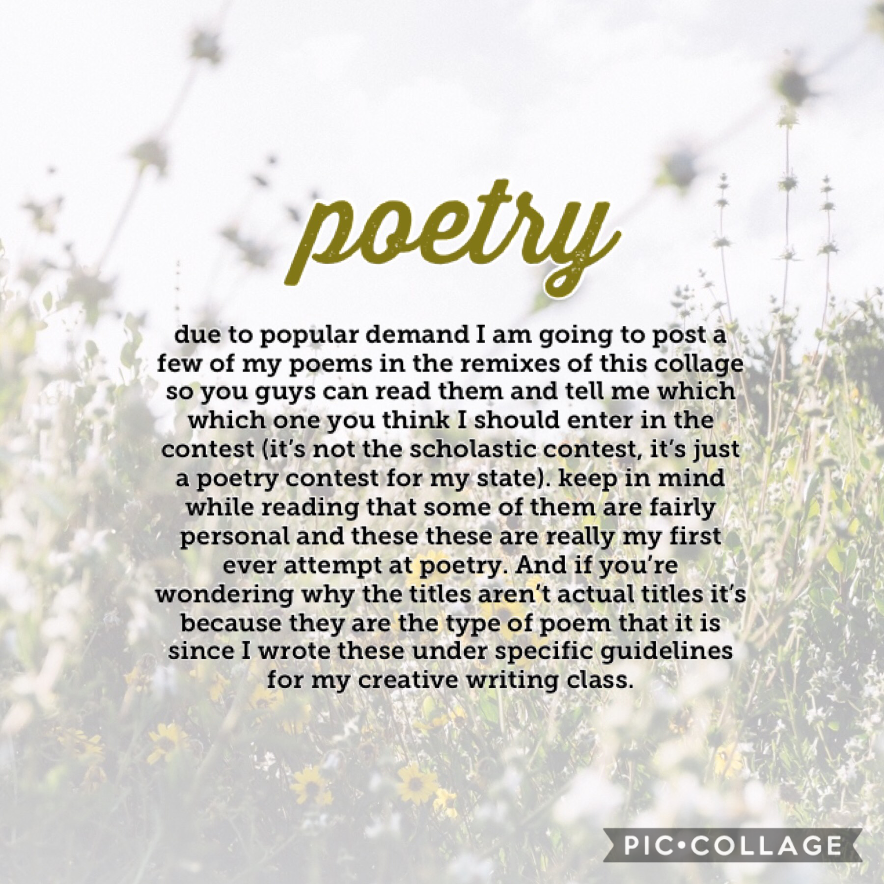 I’d love your feedback! I’m new to this whole poetry thing so if you have any advice I’d gladly take it! ✨☺️