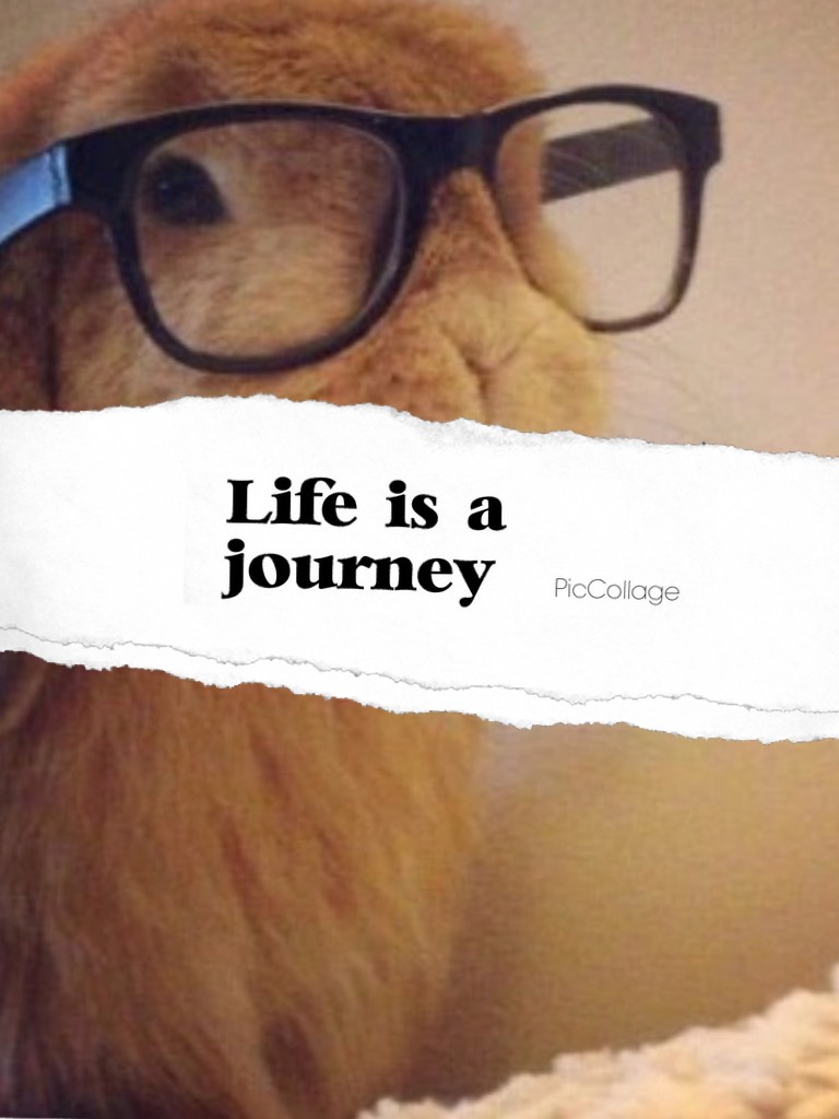 Life is a journey....