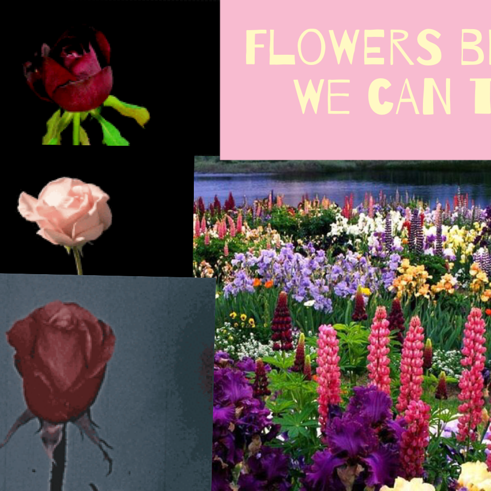 Flowers bloom We can too