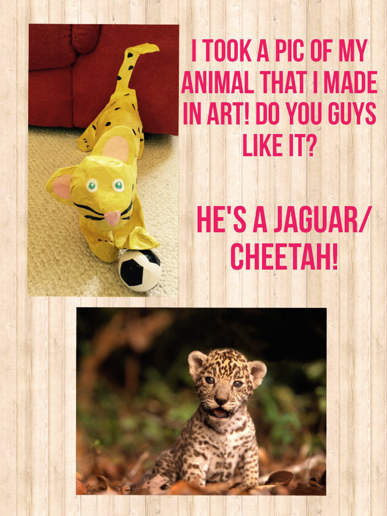 He's a jaguar/cheetah!