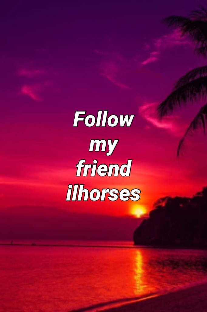 Follow my friend ilhorses