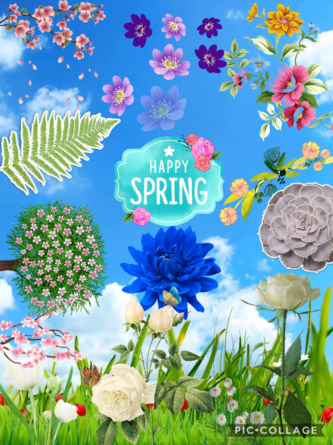 Spring’s here guys! Happy Spring!