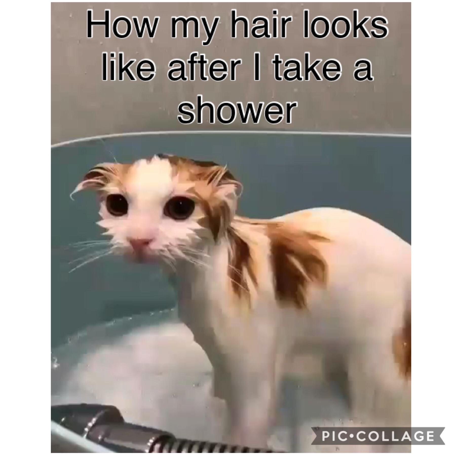 How my hair looks like after a shower