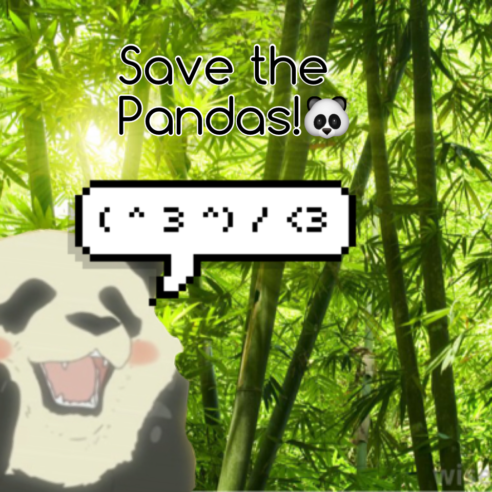Save the Pandas!🐼