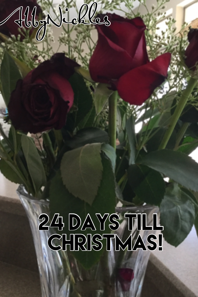 24 days till Christmas! 
