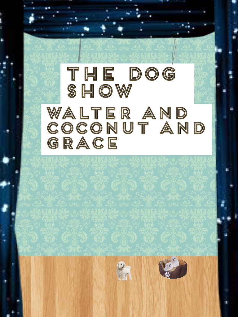 The dog show
