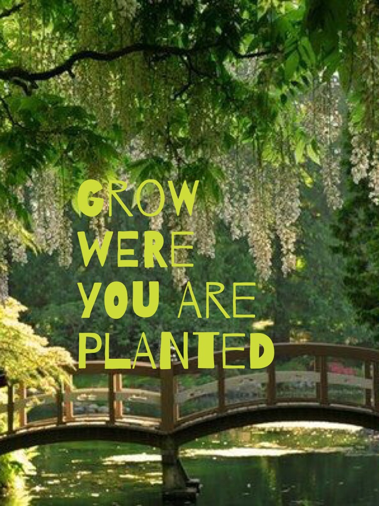 Grow were  you are planted