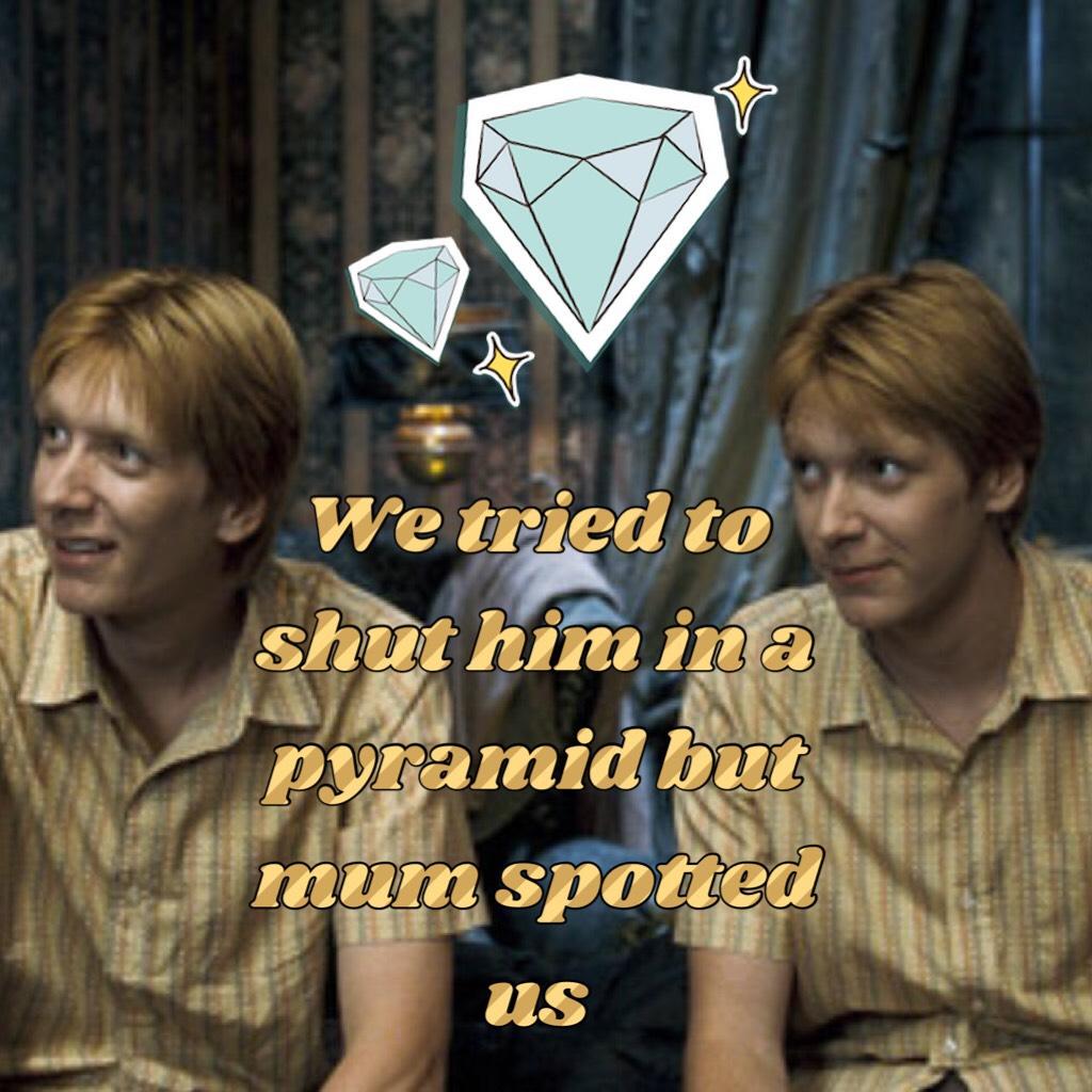 Fred and George Weasley 