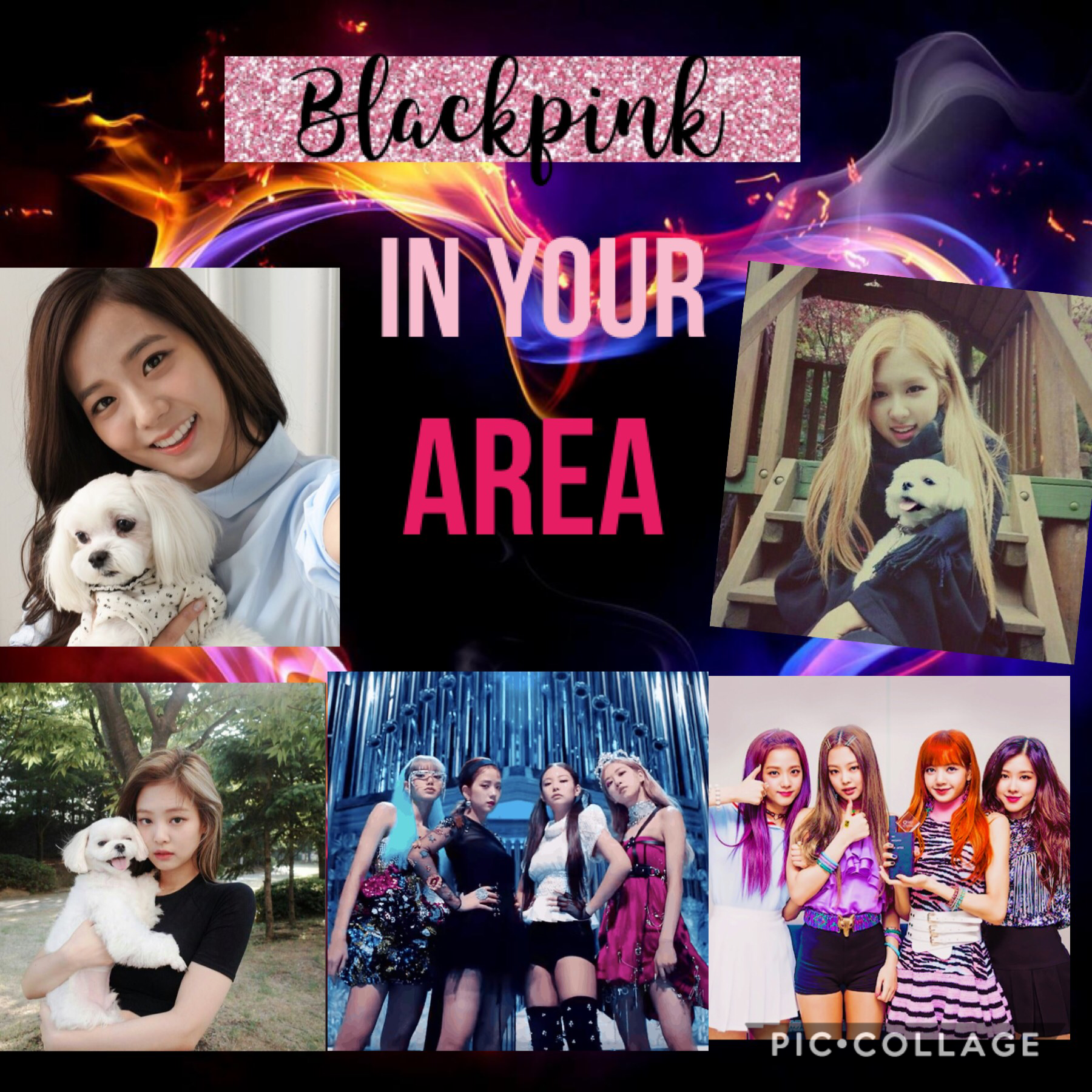 Blackpink in your Area