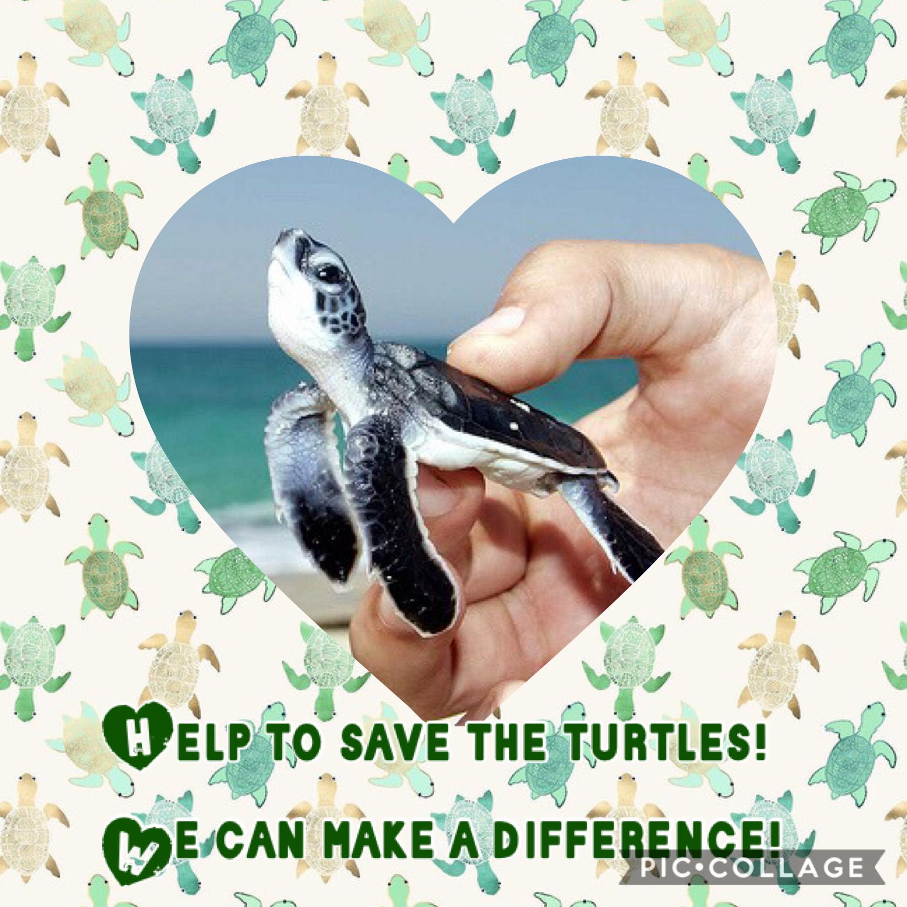 Please share this pic collage with other people to help save turtles 🐢!! Comment down below what you favorite animal is and like this pic collage!!