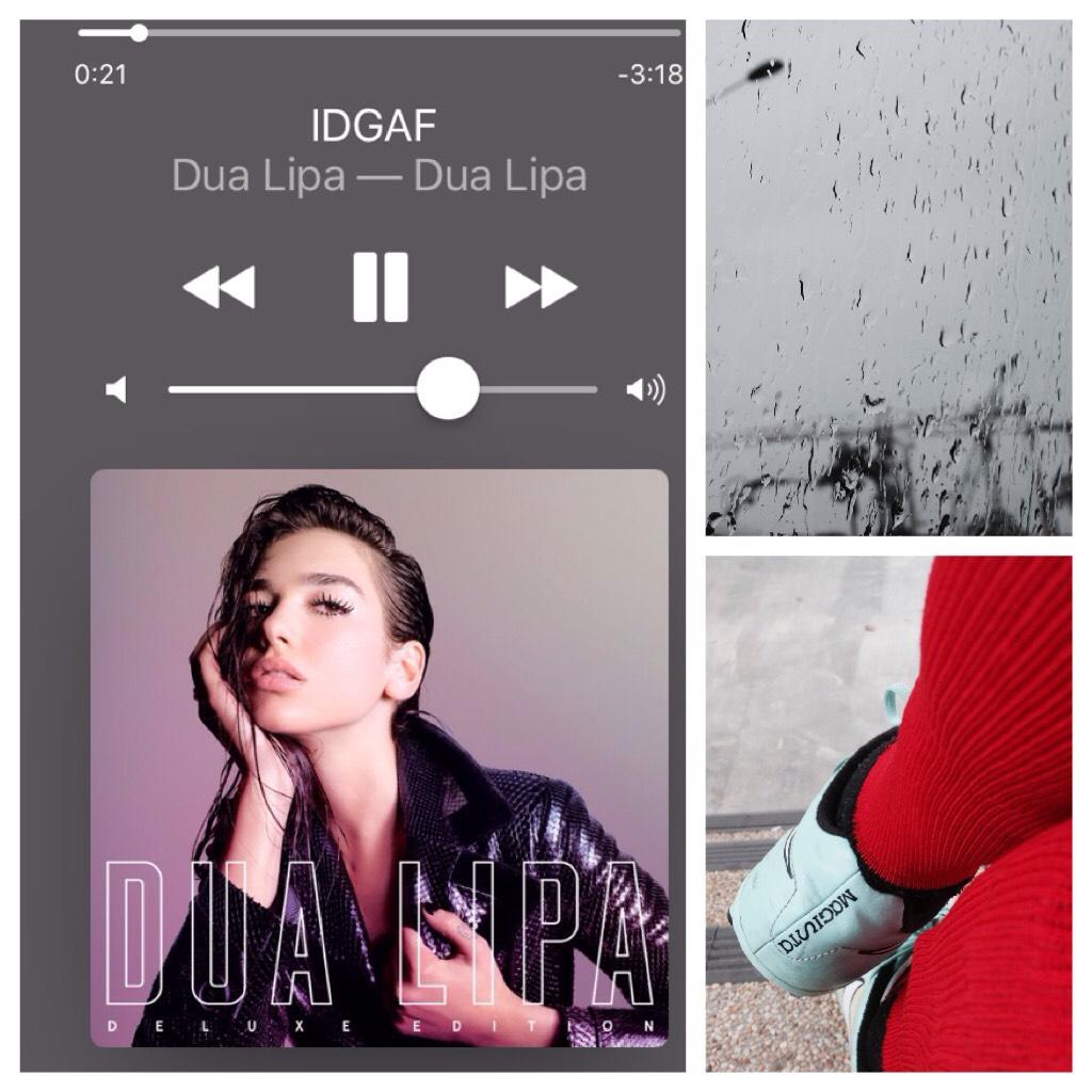 this week in pictures - of course i had to include my music queen dua lipa ❤️