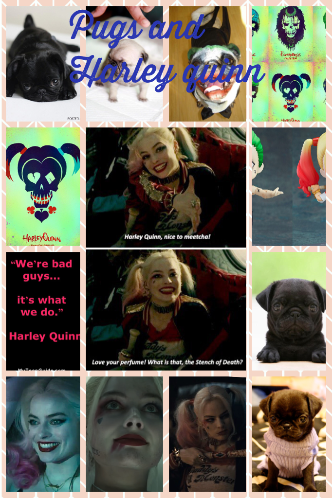 Pugs and Harley quinn