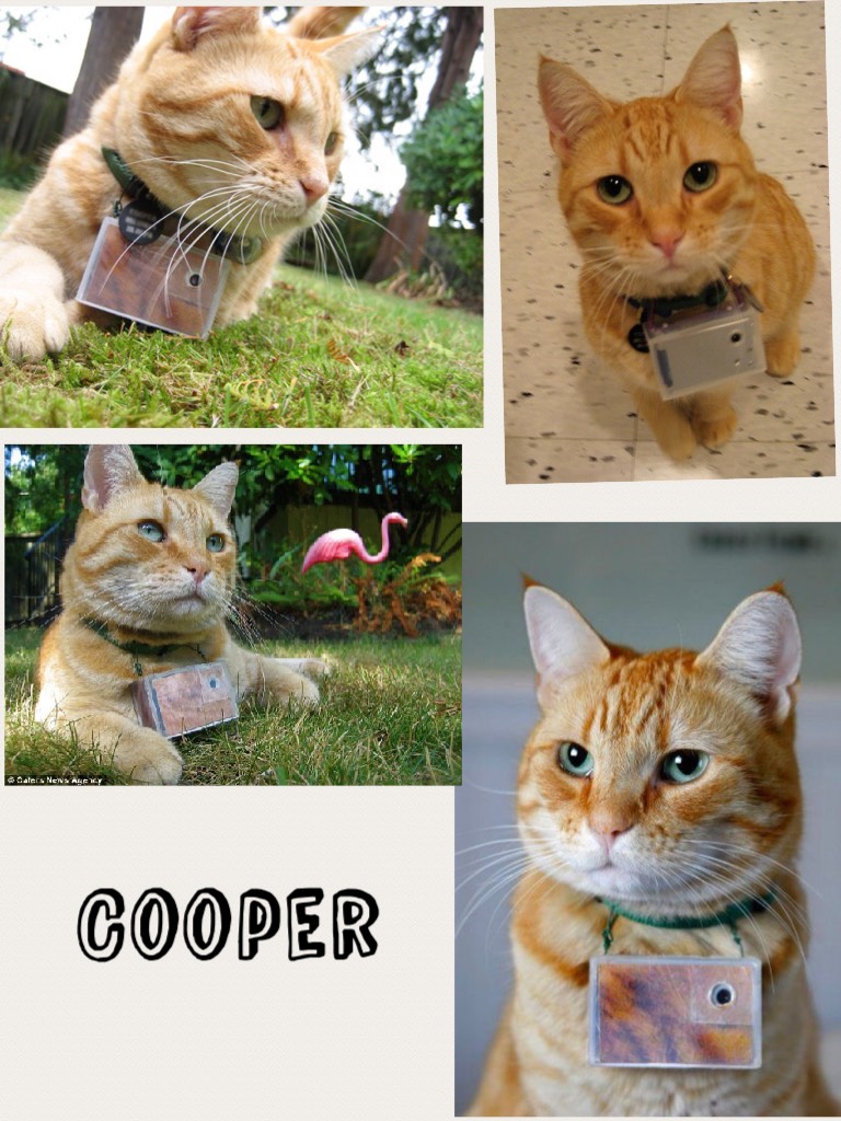 Cooper :3