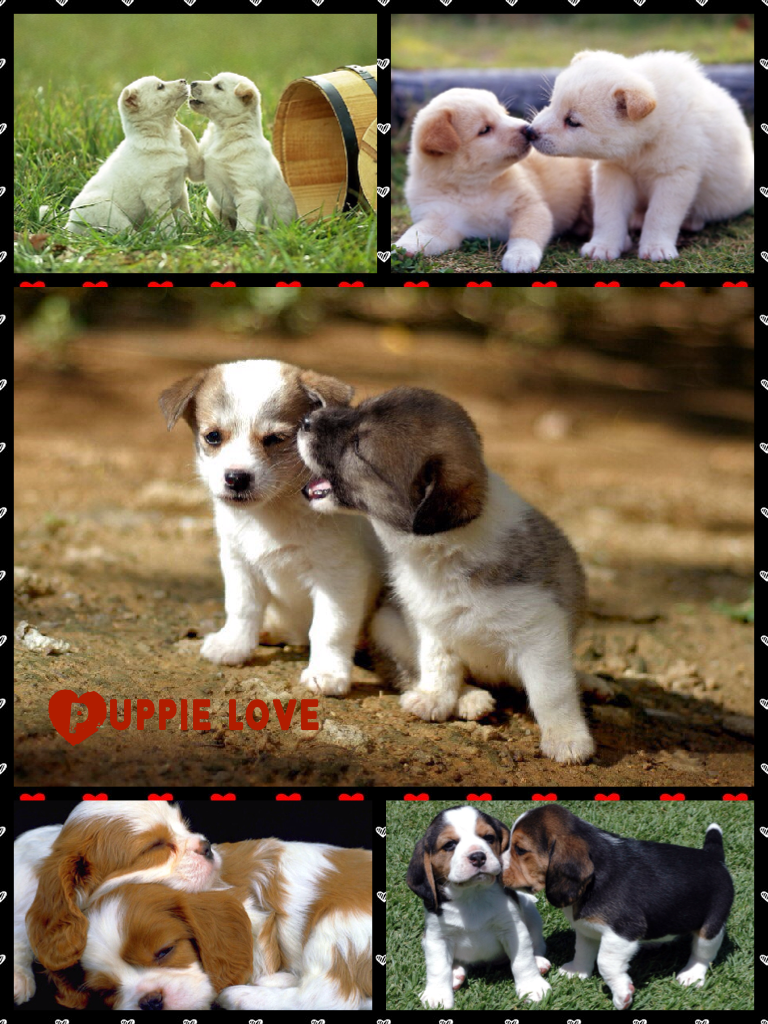 Puppie love
