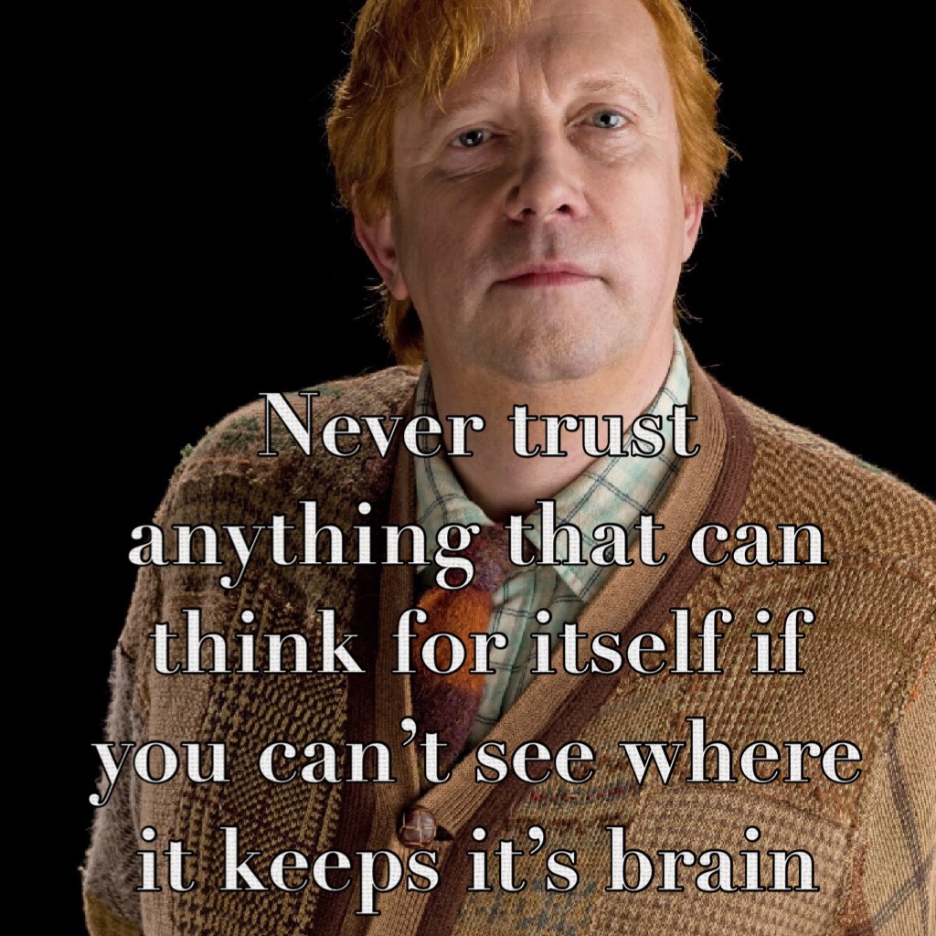 Mr Weasley 💖