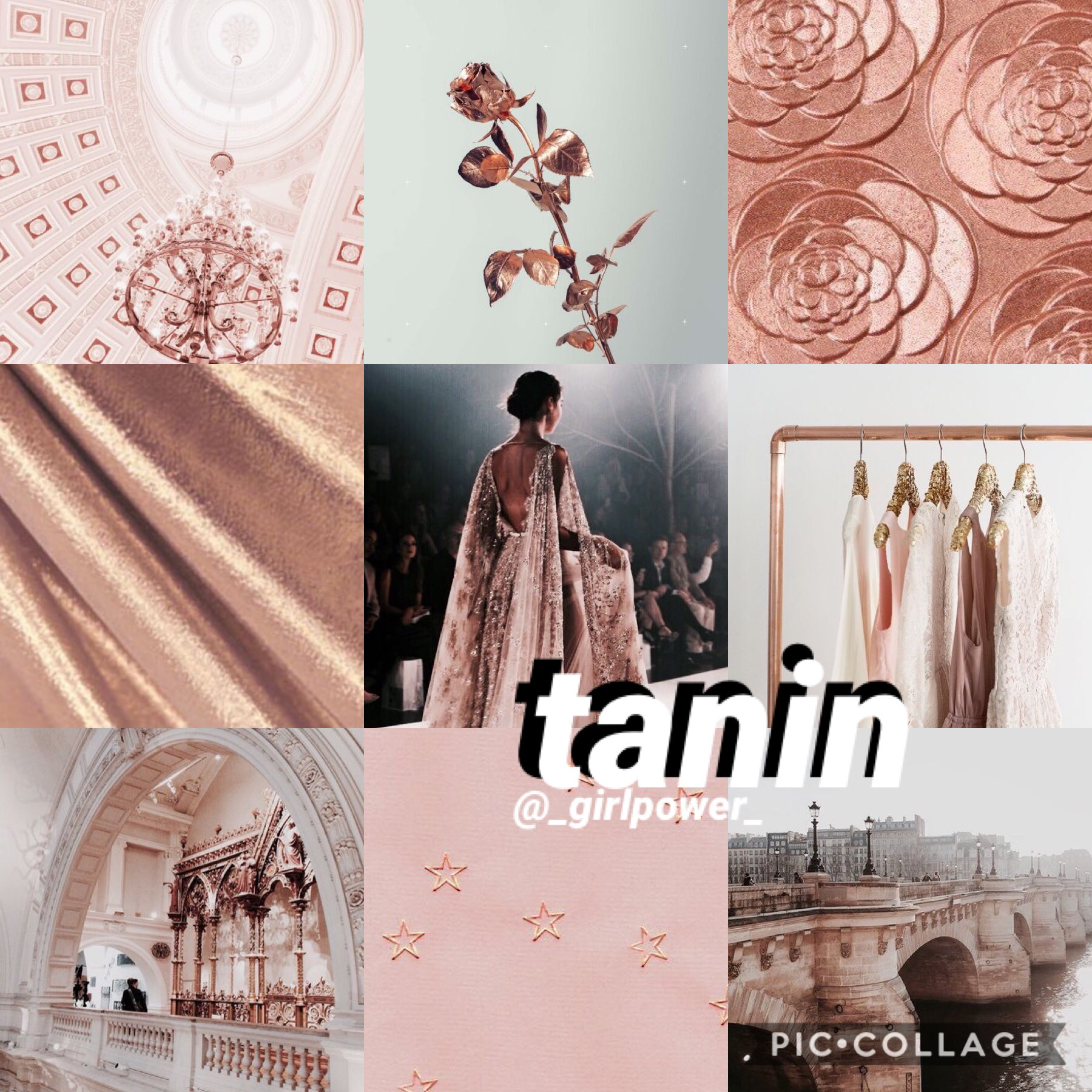 name aesthetic for tanin/ @_girlpower_ ! hope you enjoy 💕 comment on my last post to get your own ->