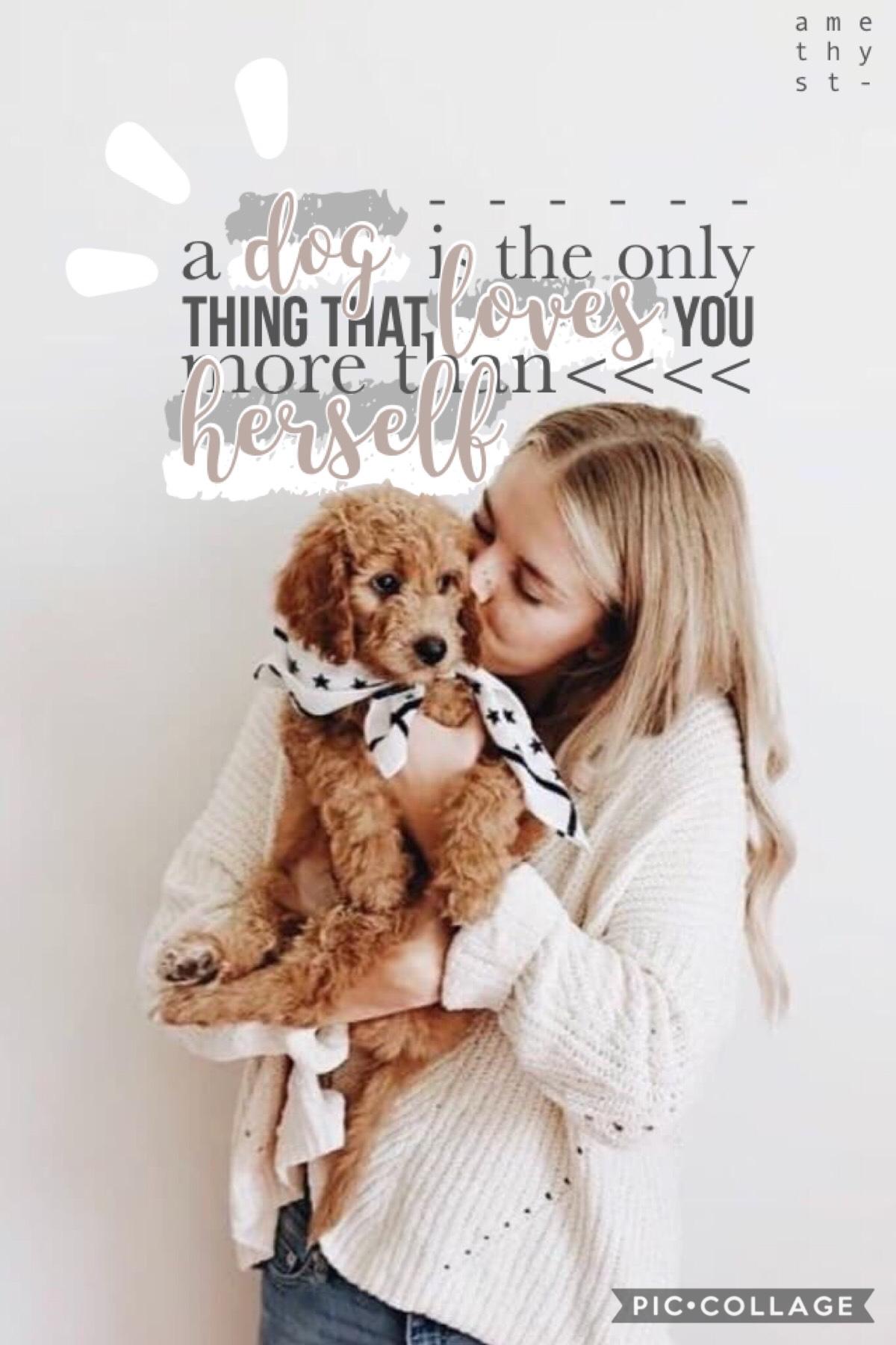 Yup, I changed this quote! It originally was “a dog is the only thing that loves you more than himself” but I changed it to HERSELF!
#GirlPower 💪👩💪😂
QOTD: any pets?
AOTD: yup, two dogs and a cat 🐶🐱