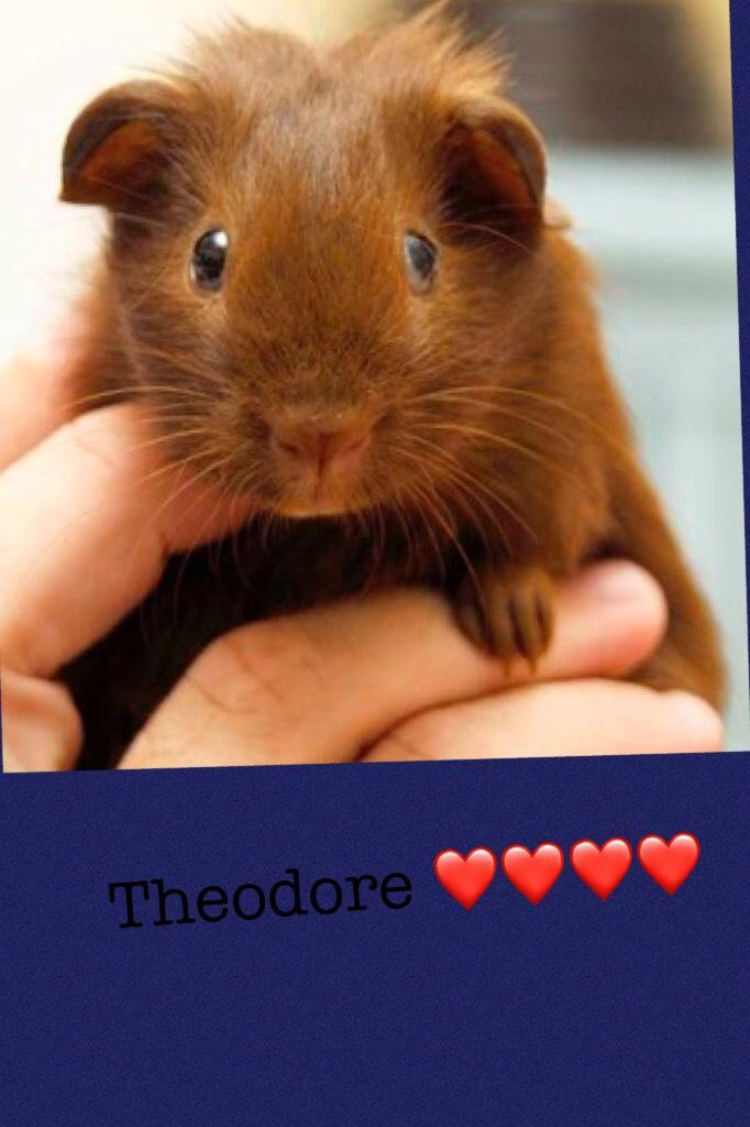 Theodore ❤️❤️❤️❤️