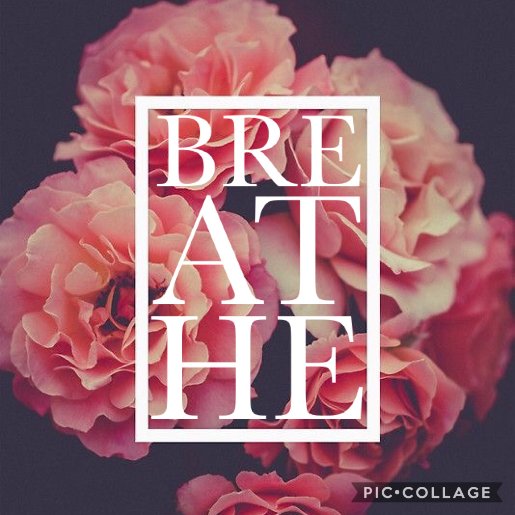 •Breathe• new theme collages coming soon!