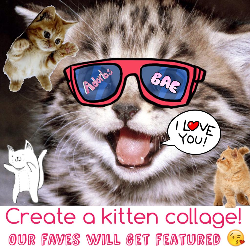 Create a kitten collage!