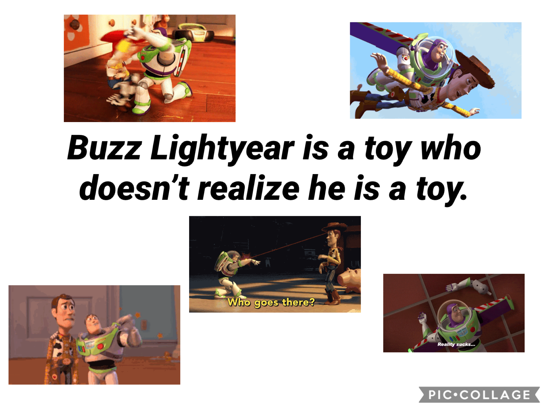 Buzz Lightyear is a toy who doesn’t realize he is a toy.