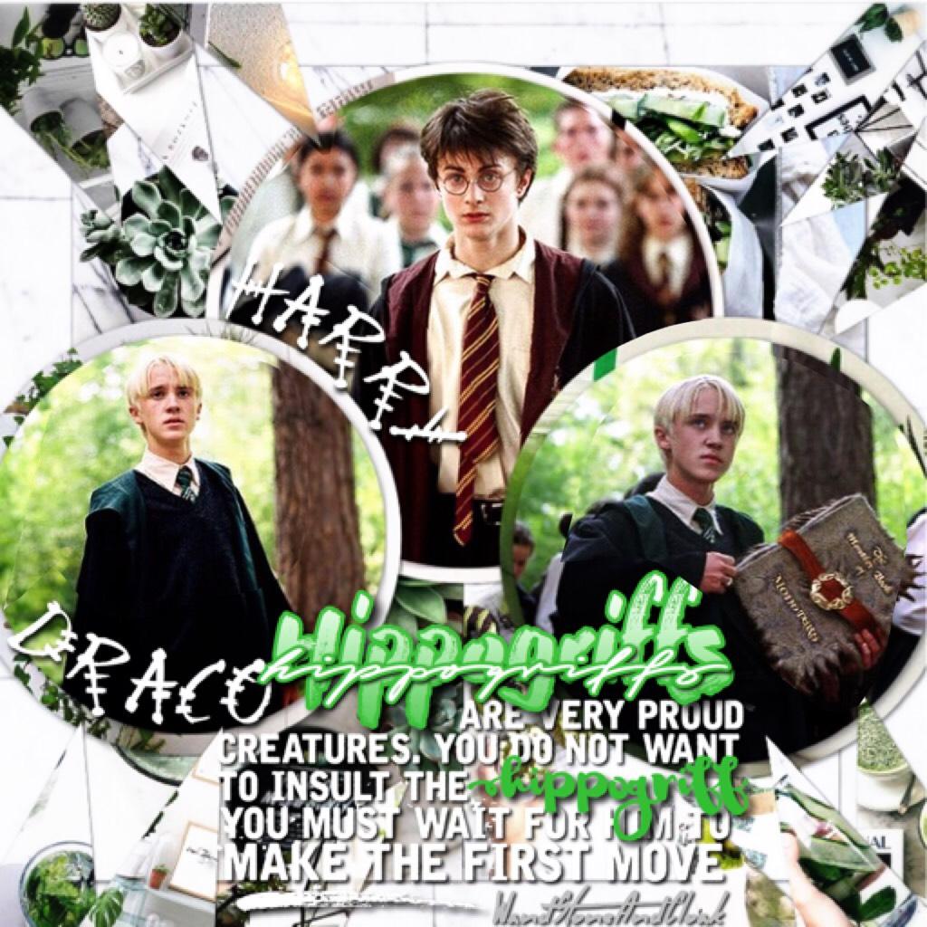 🌱click!:🌱
sorry this is kinda blurry but i tried! i feel like the hippogriff sort of reminds me of both draco and harry at times! but guys its albus and scoripius's official first day at hogwarts!
q//favorite hogwarts class?
a//dada or potions!