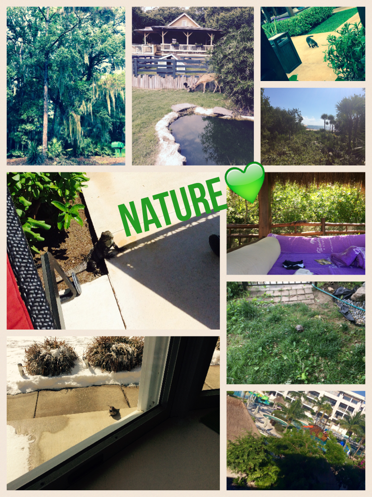 Nature💚 these are pictures I've taken😍