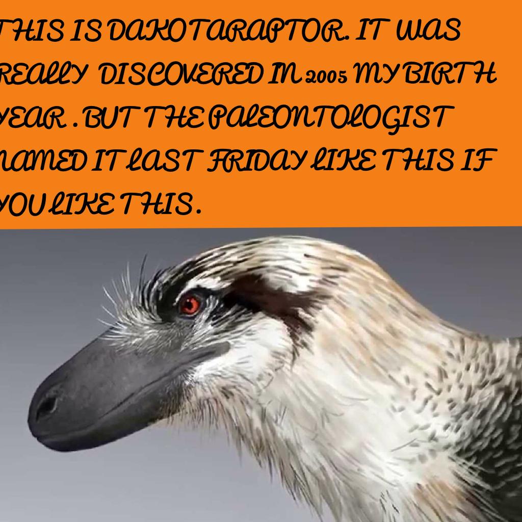 THIS IS DAKOTARAPTOR. IT WAS REALLY  DISCOVERED IN 2005 MY BIRTH YEAR . BUT THE PALEONTOLOGIST NAMED IT LAST FRIDAY LIKE THIS IF YOU LIKE THIS.



                                       Dakotaraptor 
                            By:Lani da paleontologist 
