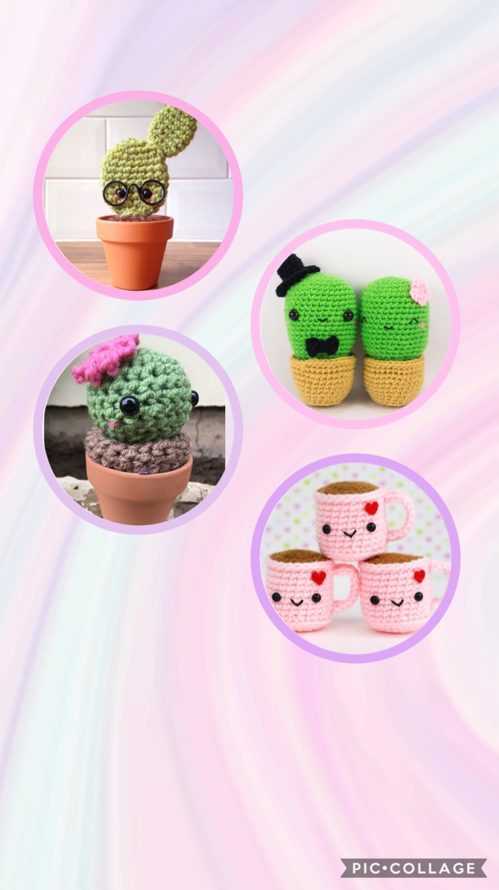Cactus fun!