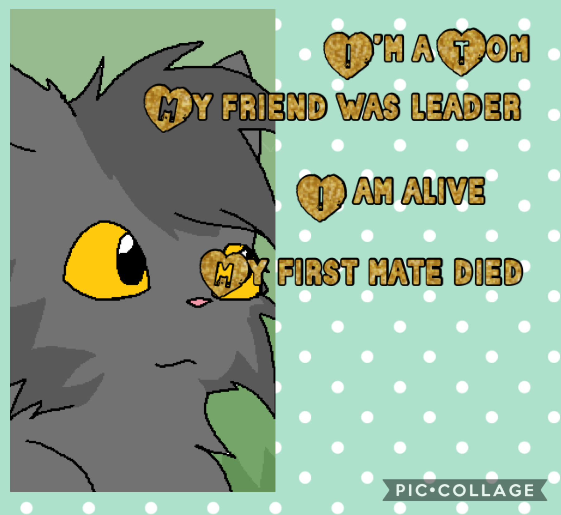 Guess this warrior cat 