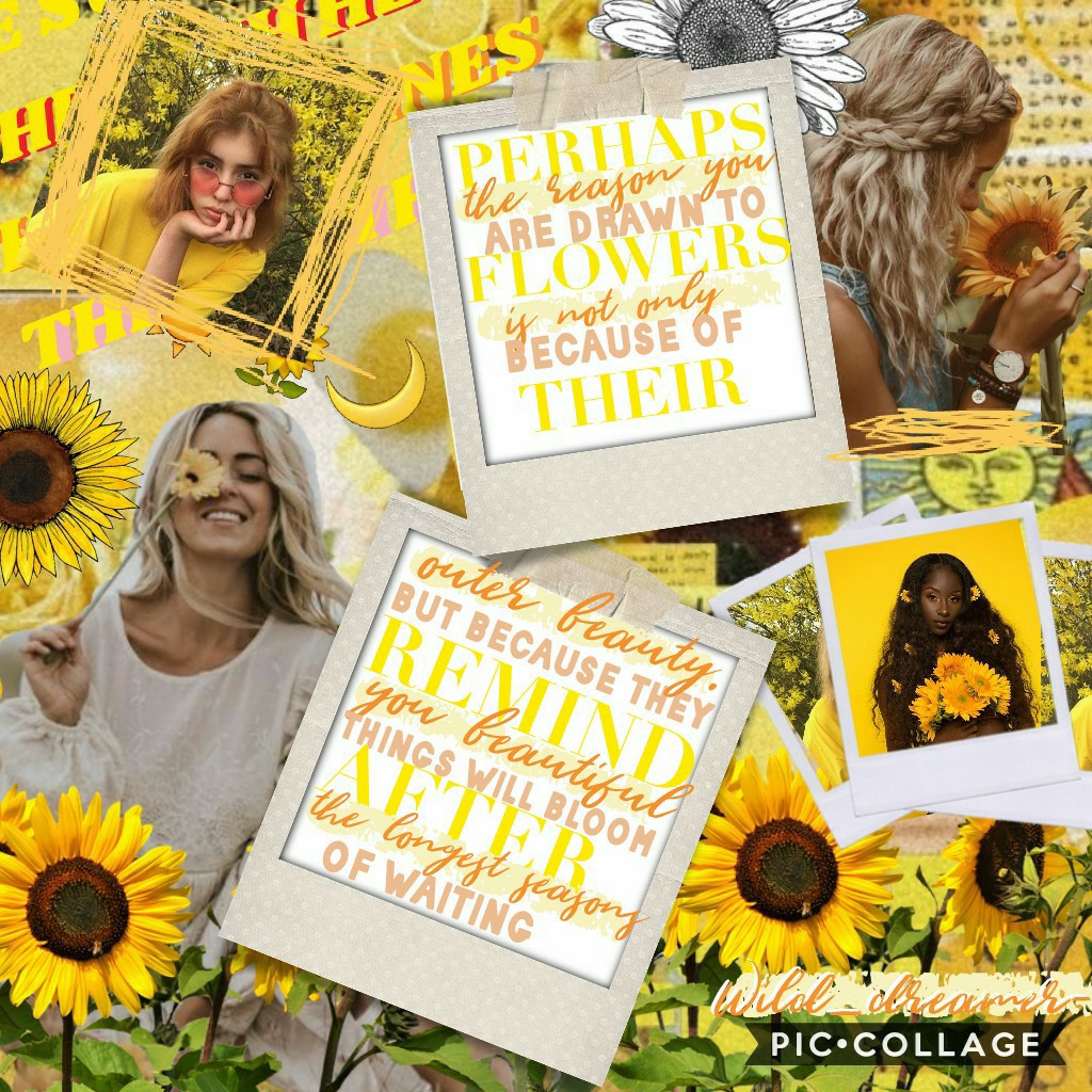     🌻heyy (tap)
I hope u like this collage!!💕 It would mean alot!😜 I love sunflowers🌻✨ plz tell me what your favorite flower is in REMIXES!💐🌸💮🏵🌹🥀🌺🌻🌼🌷🌱 Thx!😂 💛
