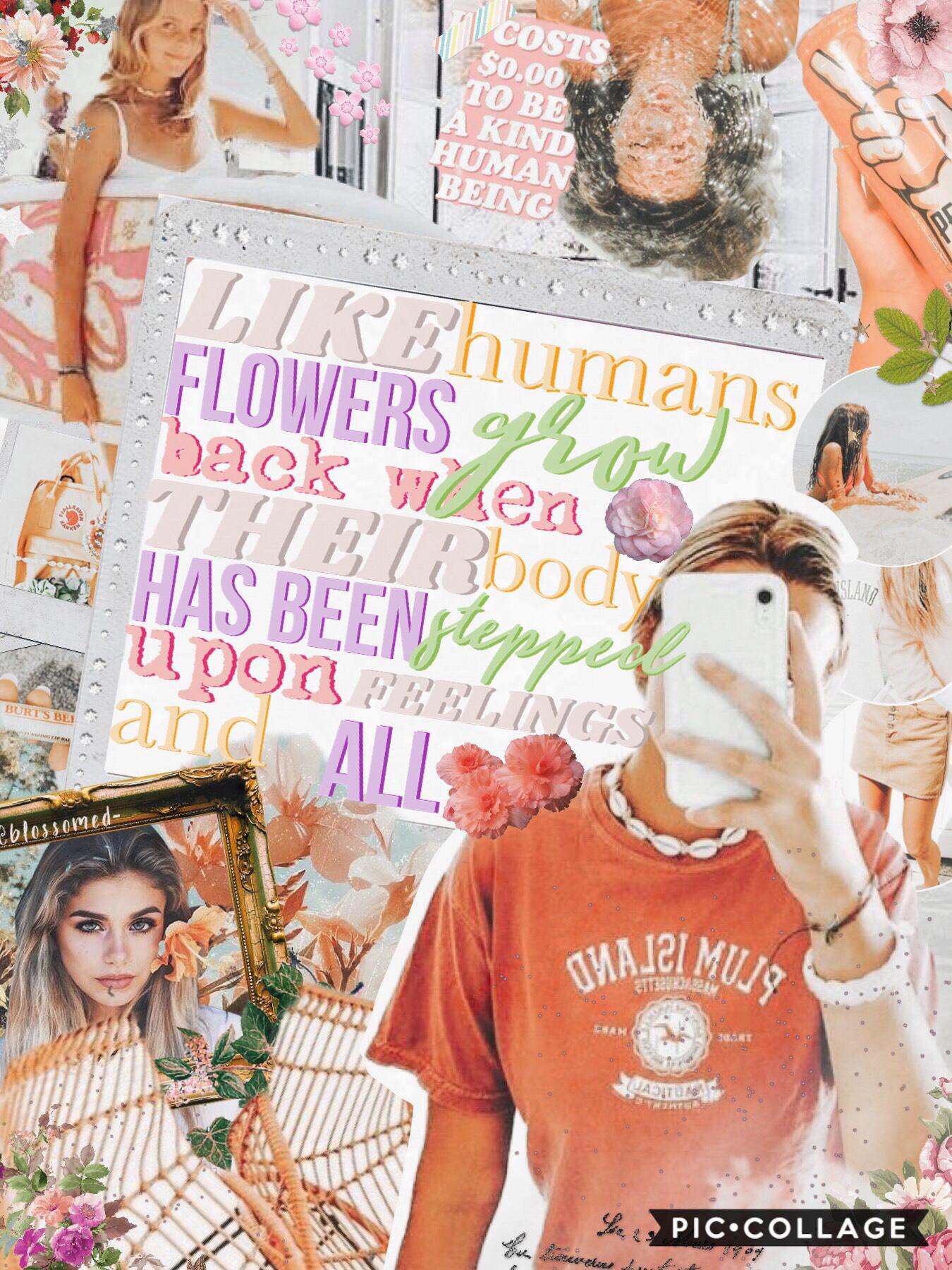 hiya guys! 🌸
so how is everyone? I’m just super upset that my collages have been deleted😣 but otherwise life’s been good so far 🐝 ✨ QOTD: what’s your favourite hobby? AOTD: probably pc and reading🐚
