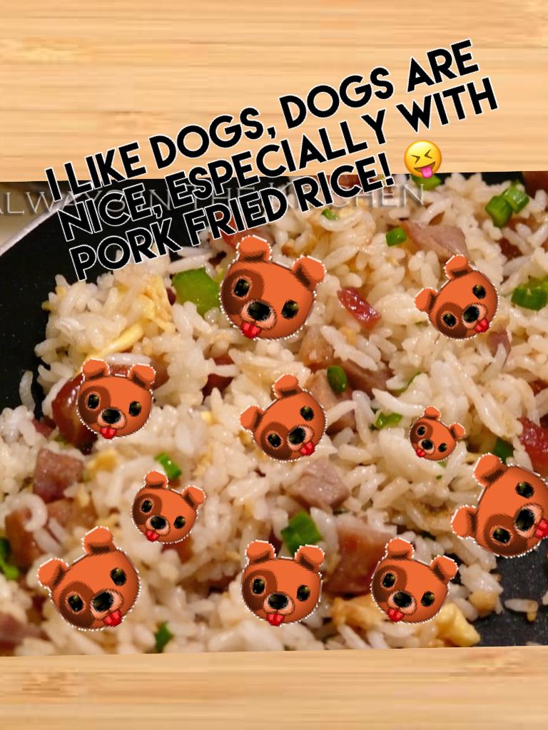 I like dogs, dogs are nice, especially with pork fried rice! 😝