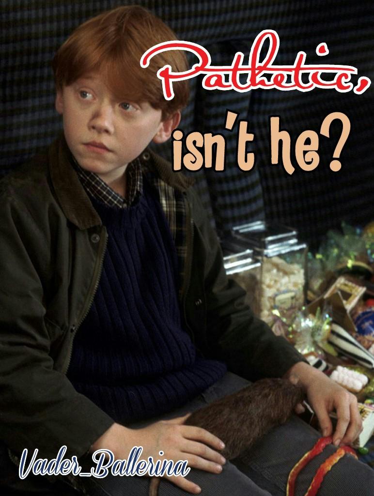 New Theme 2/6
"Pathetic, isn't he?"
~ Ron Weasley
#HarryPotterAndThePhilosopherStone