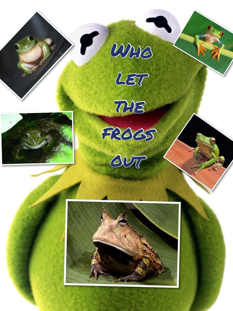 Who let the frogs out
