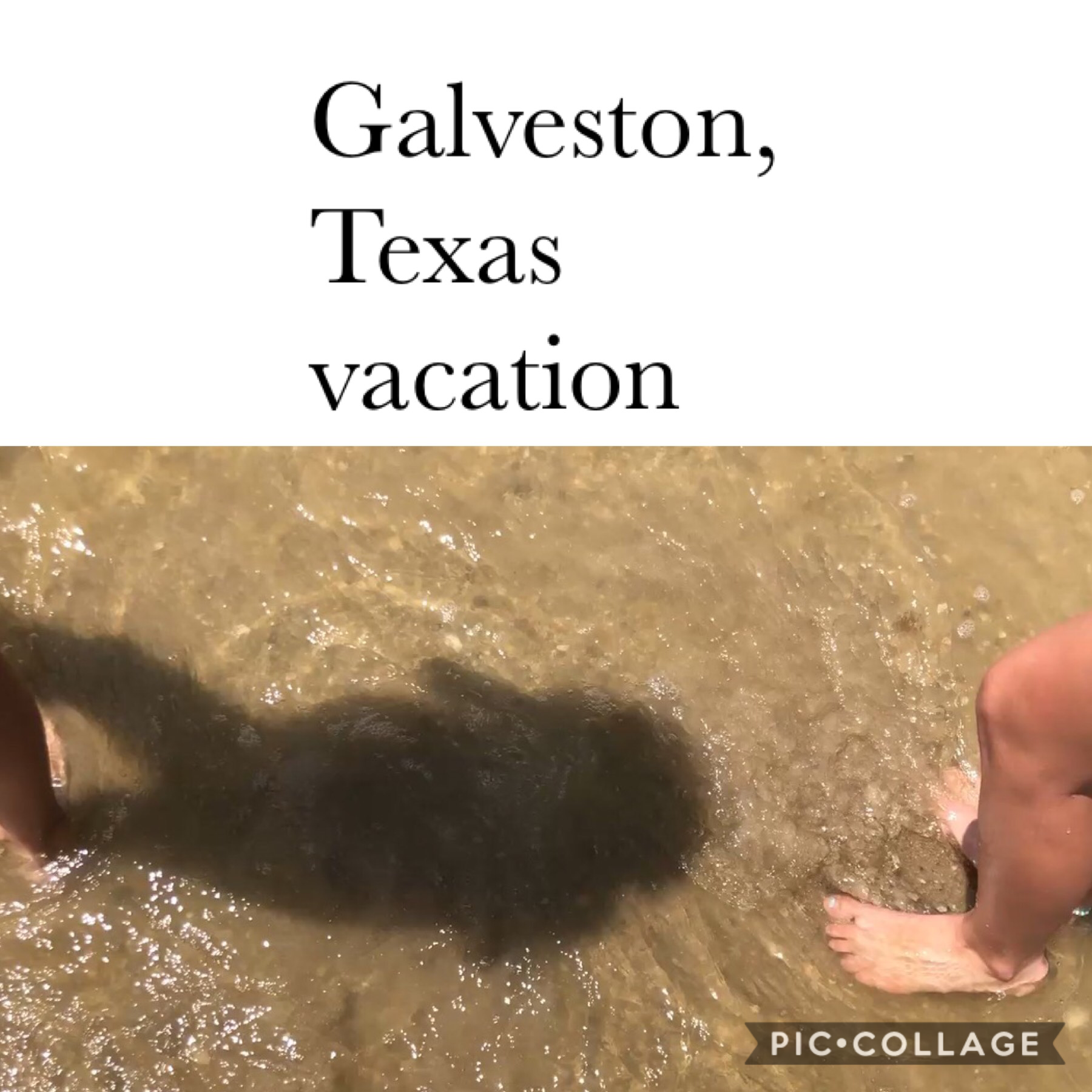 We went to Galveston, Texas! It was me and my sisters first time seeing the ocean. It was so much fun! If you would like to see more fun pics of the vacation make sure to leave them in the comments down bellow! Also make sure to follow me and like my pics
