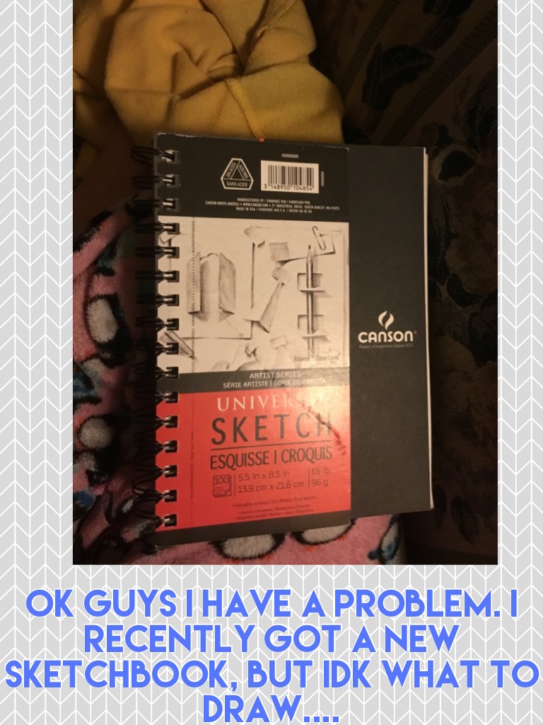 Ok guys I have a problem. I recently got a new sketchbook, but idk what to draw....