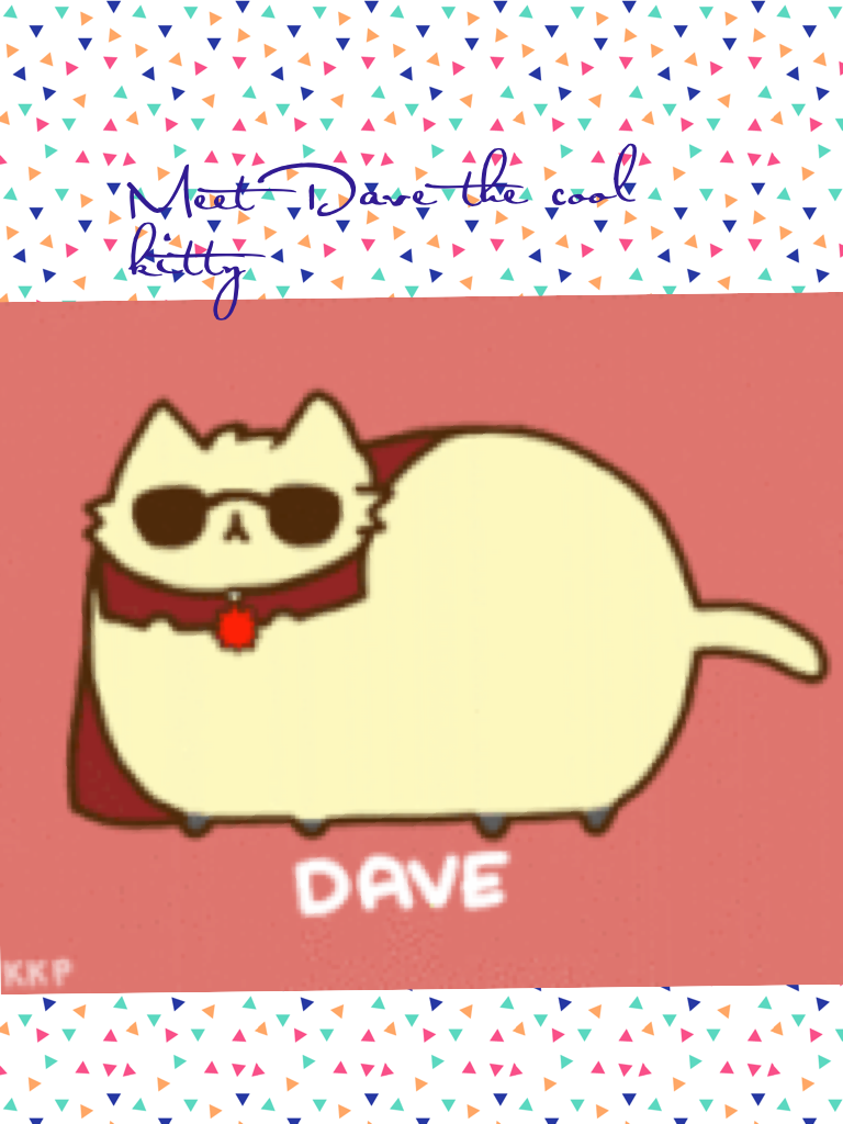 Meet Dave the cool kitty 
Isn't he cute 