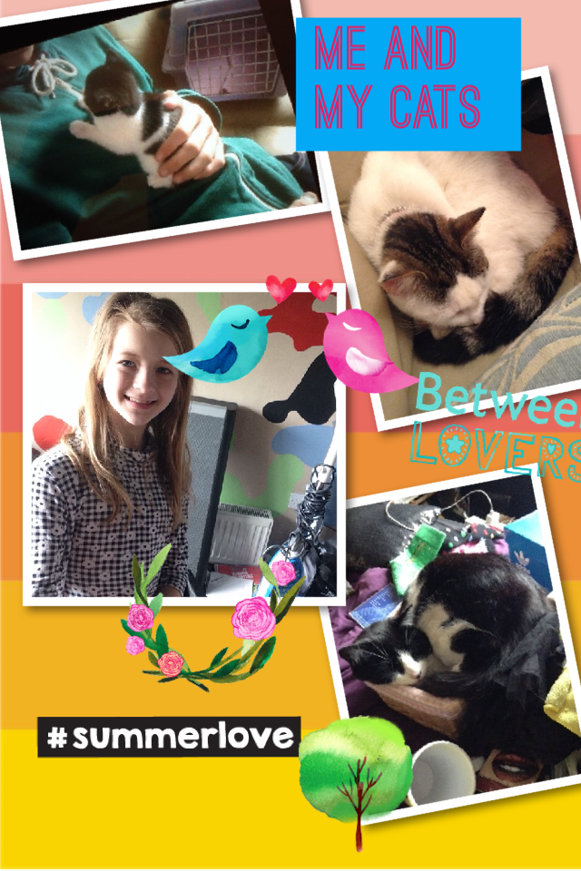Me and my cats so happy in summer