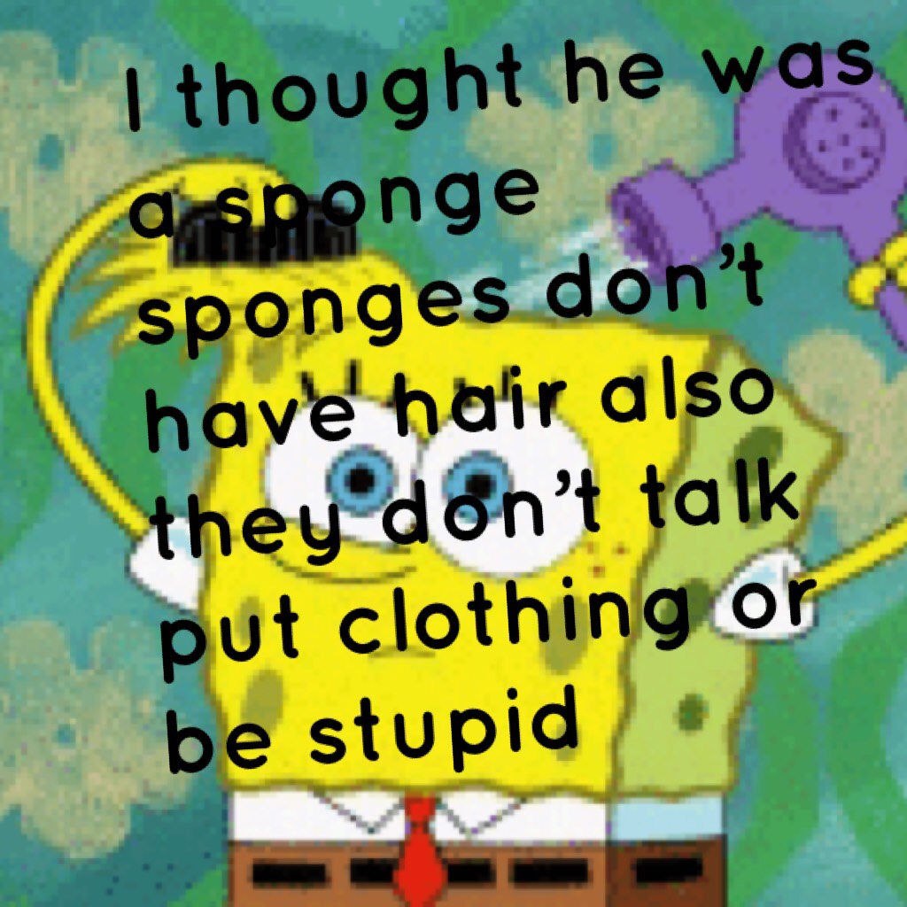 I thought he was a sponge sponges don’t have hair also they don’t talk put clothing or be stupid