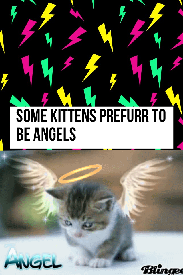SOME KITTENS PREFURR TO BE ANGELS