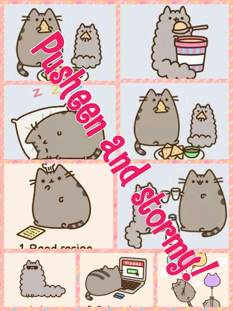Pusheen and stormy!!!!!!!!! They are awesome!!!!